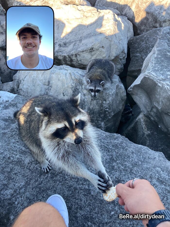 People Are Sharing Their Hilarious BeReal Pics, Here Are 35 Of The Funniest Ones