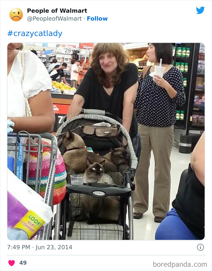 Woman with stroller full of cats inside a Walmart store, capturing a shocking and unusual scene.