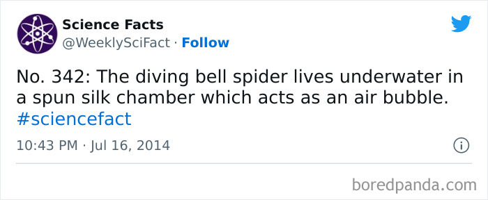 Science Facts