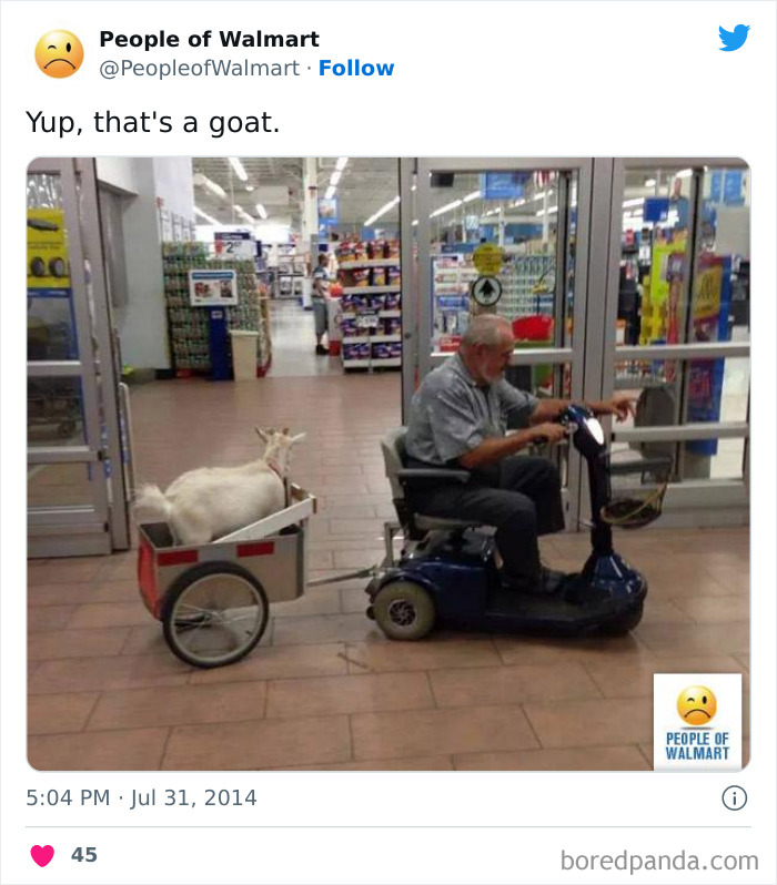 Elderly man on mobility scooter pulling a cart with a goat inside Walmart, showcasing shocking photos.