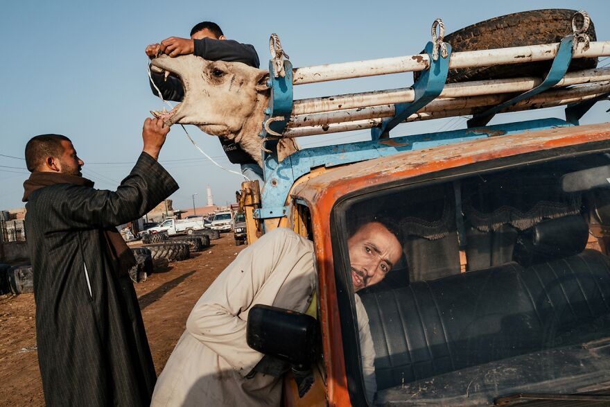 Street Photography: 3rd Classified, Back To Birqash By Jonathan Jasberg