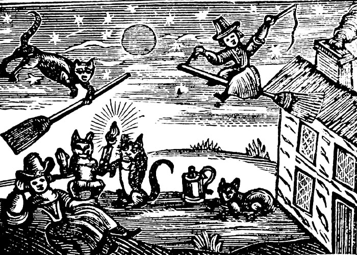 Man Captures Owl Flying Away With Child’s Hobby Horse Like A Witch Riding A Broom, Leaves The Internet In Stitches Man Captures Owl Flying Away With Child’s Hobby Horse Like A Witch Riding A Broom, Leaves The Internet In Stitches