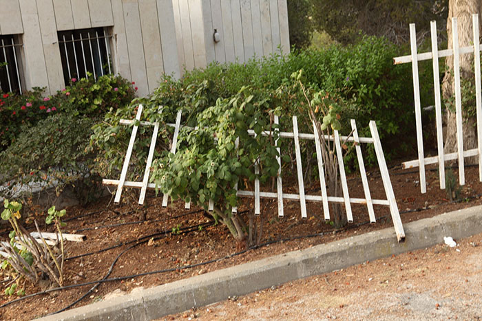 "The Neighbors Were In My Pool": Family Ignores This Guy's Warnings To Stop Using His Property, Now Have Trouble With The Police