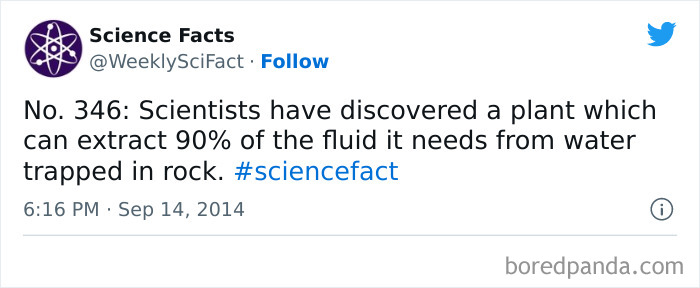 Science Facts