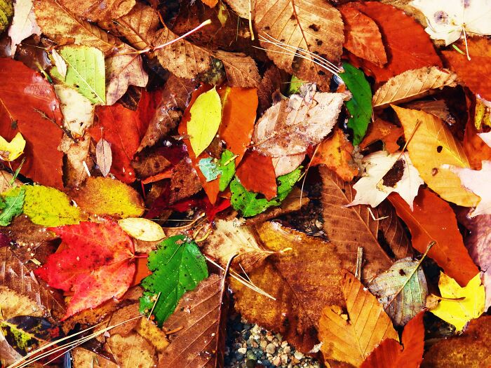 South Portland Maine