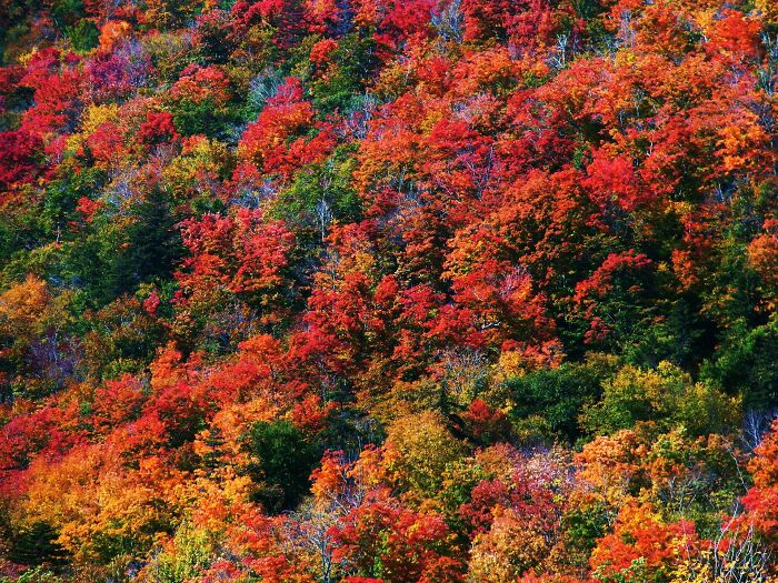 The White Mountains In New Hampshire 2010