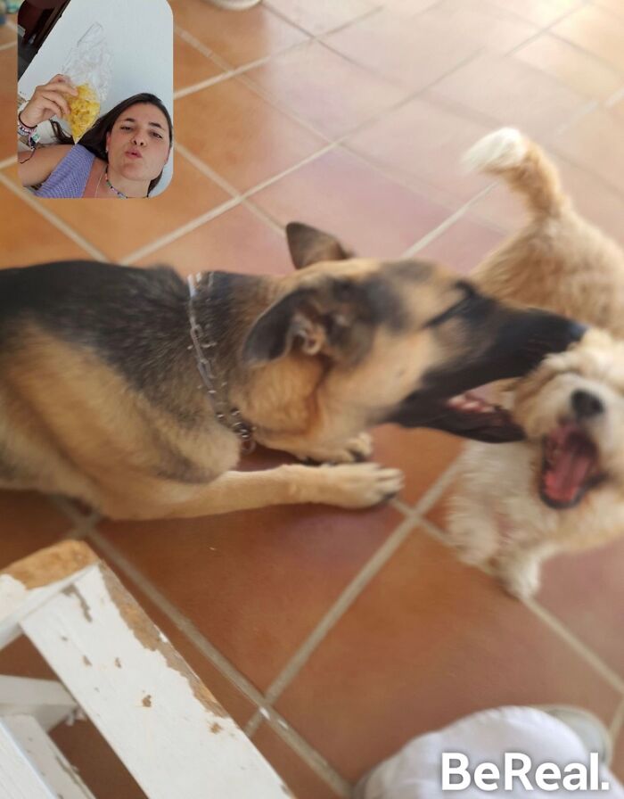 Best-Funny-Weird-Bereal-Photos