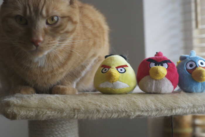 20 Realidades difíciles de aceptar que la gente reconoce y comparte sabiamente