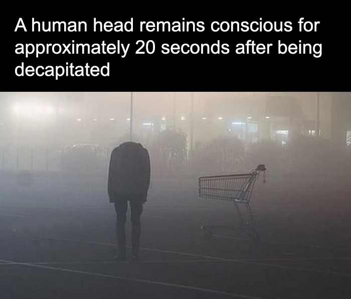 Decapitated human body standing without a head near a shopping cart in foggy surroundings, creepy unsettling scene.