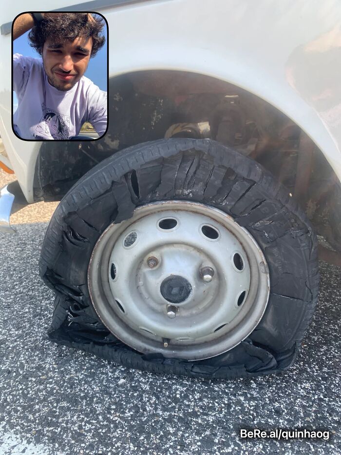 Best-Funny-Weird-Bereal-Photos