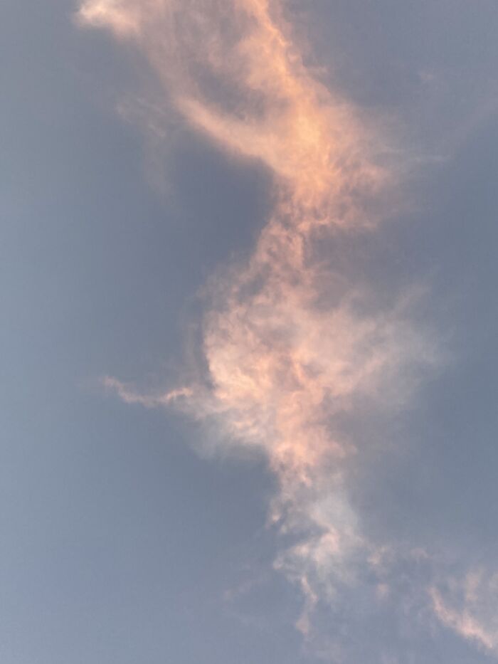 Idk What This Is But I Found It In My Camera Roll