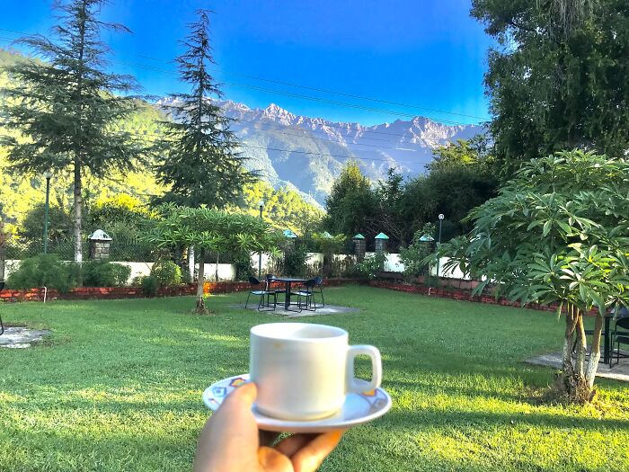 This Is My Cup Of Tea 🤩