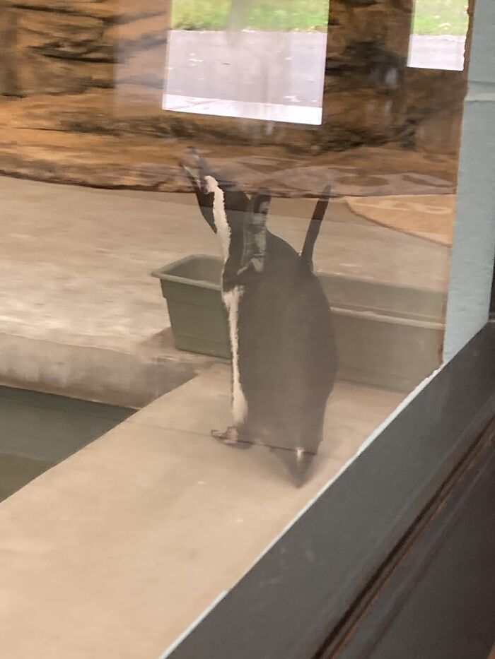 Was At A Zoo… Got This Beauty