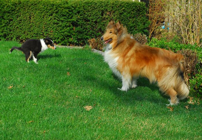 30 Things That Immediately Make People Angry Because They Are So Annoying, As Shared In This Online Group