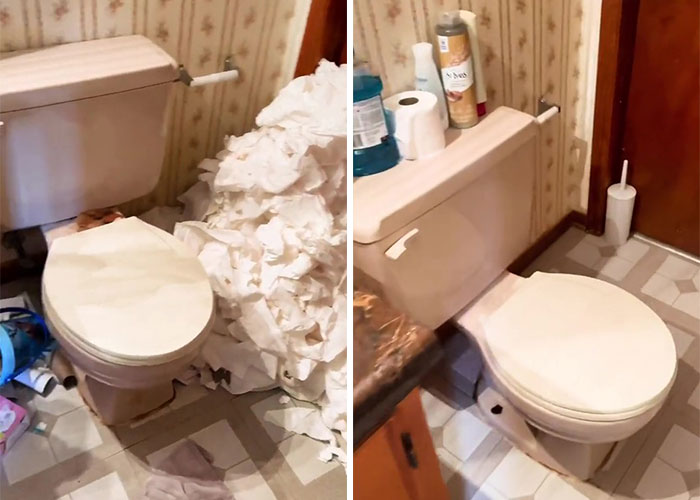 Psychology Student Deep Cleans “Unlivable” Homes To Help Their Owners’ Mental Health Psychology Student Deep Cleans “Unlivable” Homes To Help Their Owners’ Mental Health