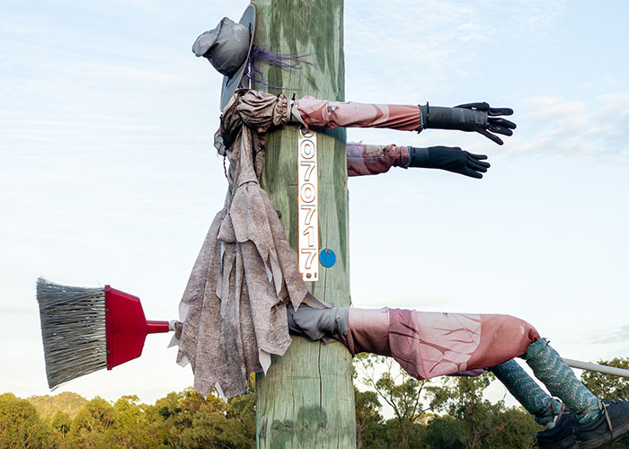 Man Captures Owl Flying Away With Child’s Hobby Horse Like A Witch Riding A Broom, Leaves The Internet In Stitches Man Captures Owl Flying Away With Child’s Hobby Horse Like A Witch Riding A Broom, Leaves The Internet In Stitches