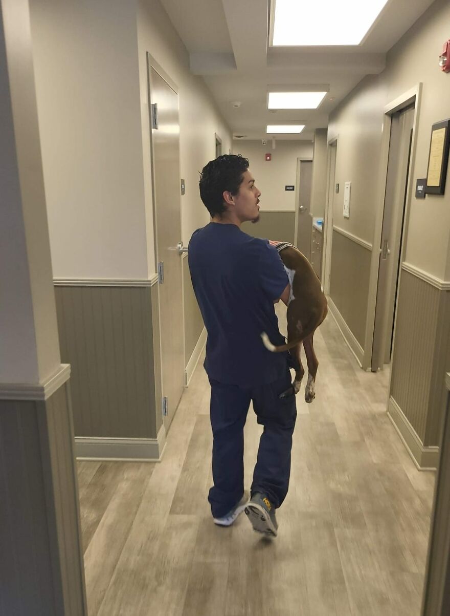 Abandoned Puppy Gets Another Chance At Happiness When Loving People Take Him Into Their Care