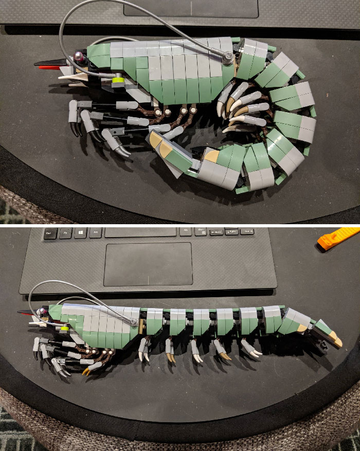 LEGO builds of a detailed green and gray centipede model shown curled up and fully extended on a black surface.