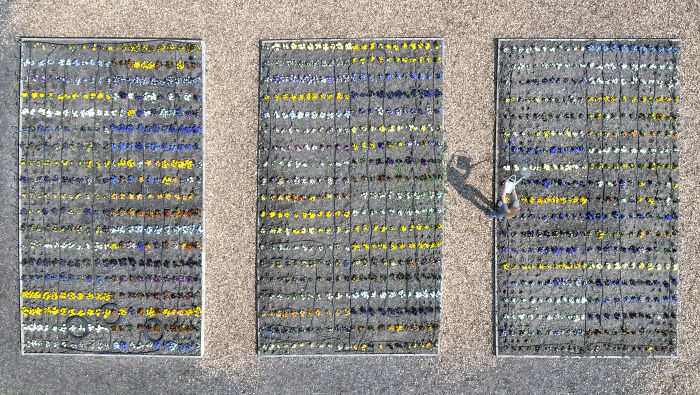 Your View Runner Up: Chris Gorman, 'The Colour Of Spring'