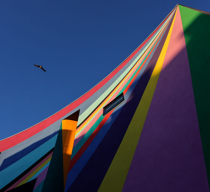 Your View Commended: Andrew Smith, 'Gallery And Gull'