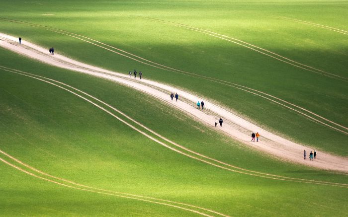 Your View Commended: Amar Sood, 'The Scenic Route'
