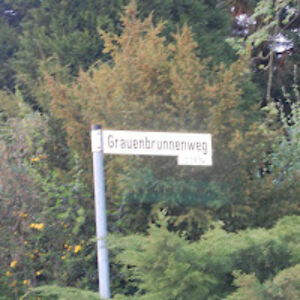 amourdoctrina avatar