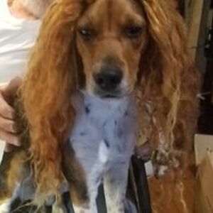 kelliegarwood avatar