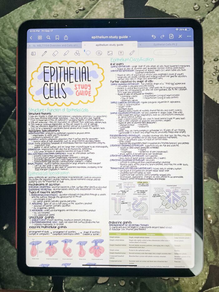 I Just Wanted Someone To Show My Pretty Histology Notes To 