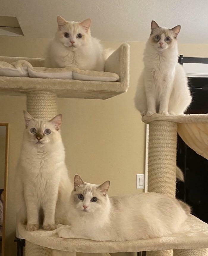 The First Photo Where The Squad Is All Looking At The Camera