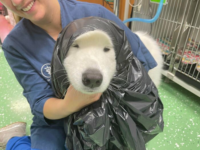 Someone (Not Naming Any Names) Ate Something They Shouldn’t Have