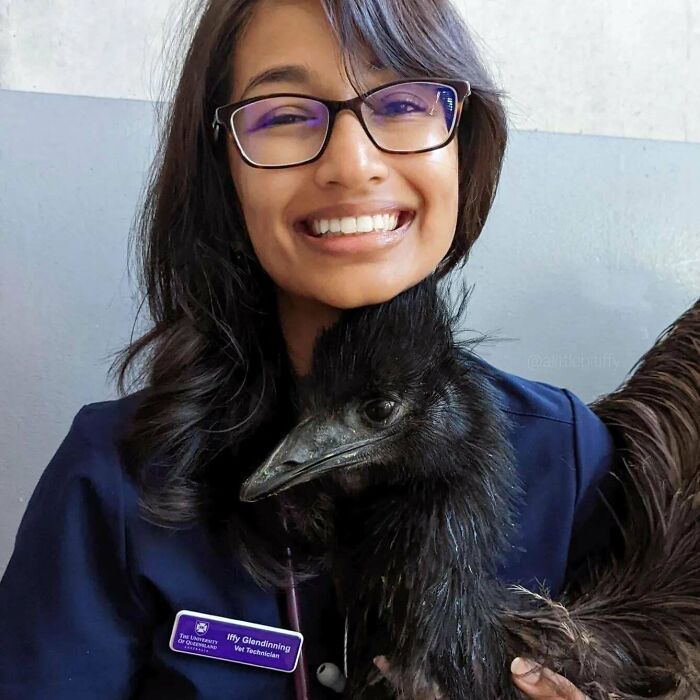 Ernie The Emu Was Not "Emused" Following Her CT, But We Had Cuddles Which Made It Better