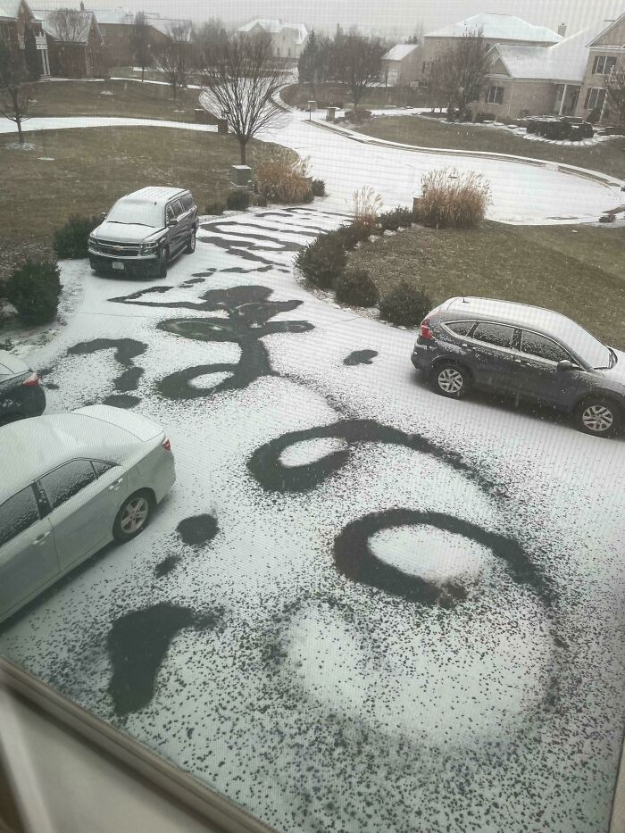 My Brother “Salted” The Driveway