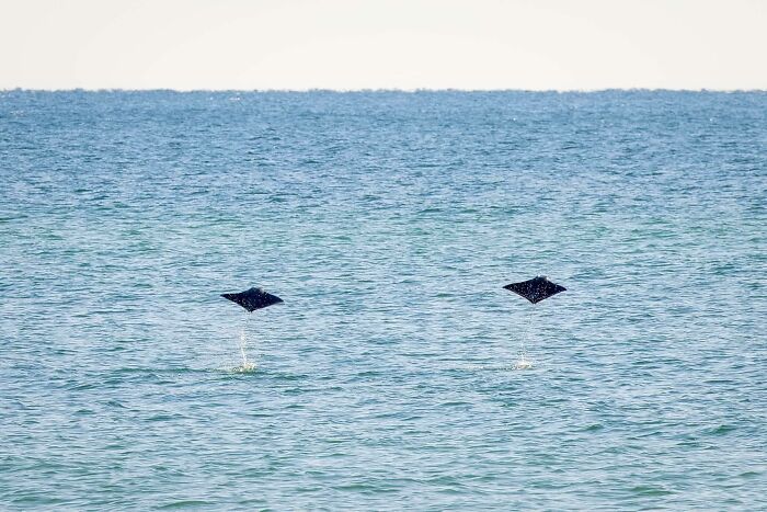 A Once In A Lifetime Shot For Me