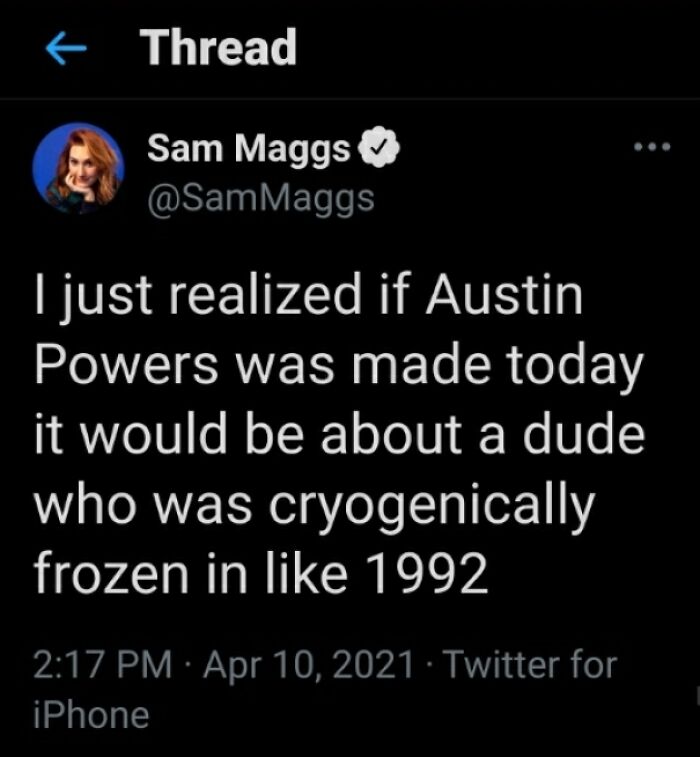 Thanks I Hate Austin Powers