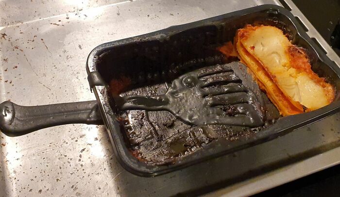 Forgot My Plastic Spatula In The Oven While Heating Up My Lasagna