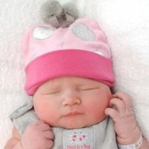 chrisndan0202 avatar