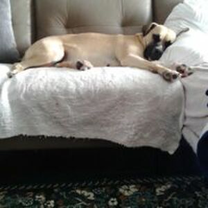 fayecummings200 avatar