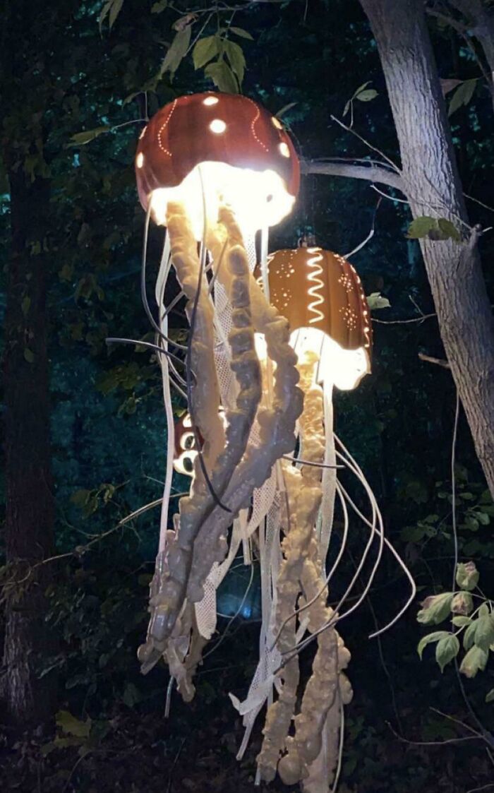 Estas son algunas de las calabazas más bonitas y creativas que he visto