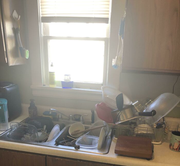 I Have 2 Roommates, Not A Single One Of These Is Mine, This Is A Regular Occurrence