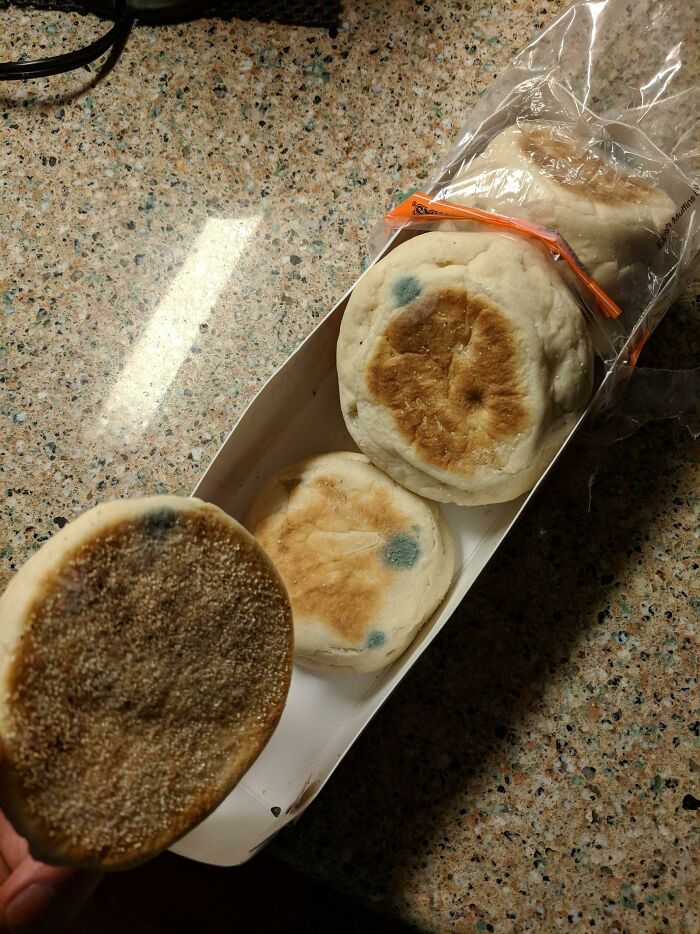These Crumpets I Found Behind The Tesco Came With Free Antibiotics To Cure My Infection!
