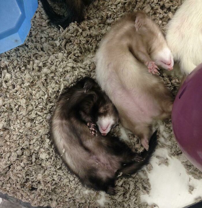 A Glitch In The Matrix