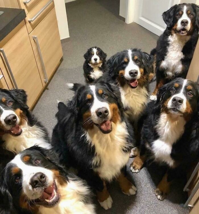 Everybody Smiles For The Camera