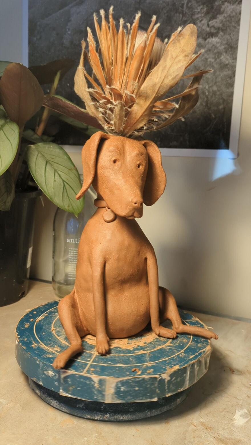 A Homage To My Solace, Frankie