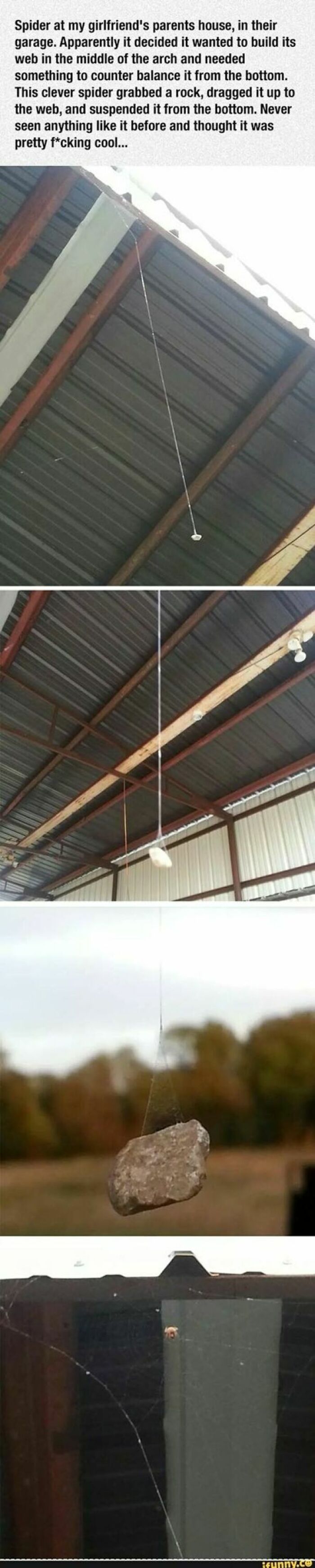 Spider Figures Out Counter Balance