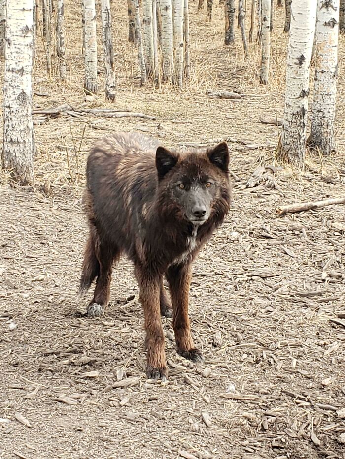 Rocking His Fall Colors!