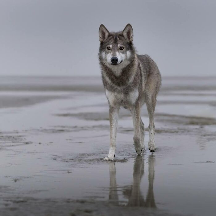 Everyday I Fall A Bit More In Live With My Babygirl