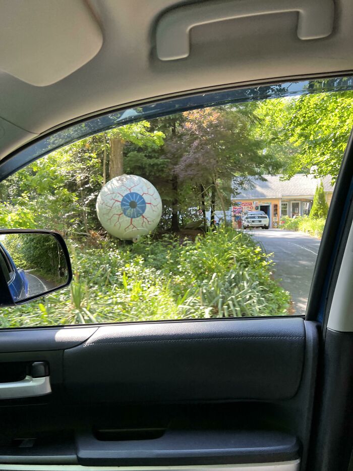 My Neighbor’s Yard Decoration