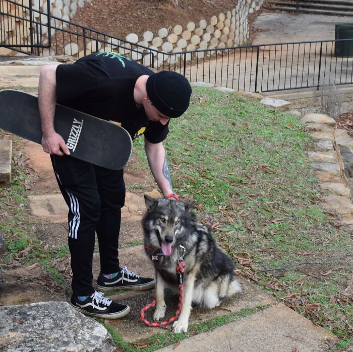 When Your Wolfdog Steals Your Man... Marzipan How Could You?