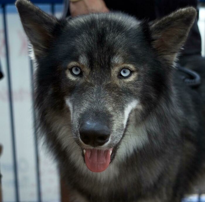 Finally A Shot Of Him Looking At The Camera