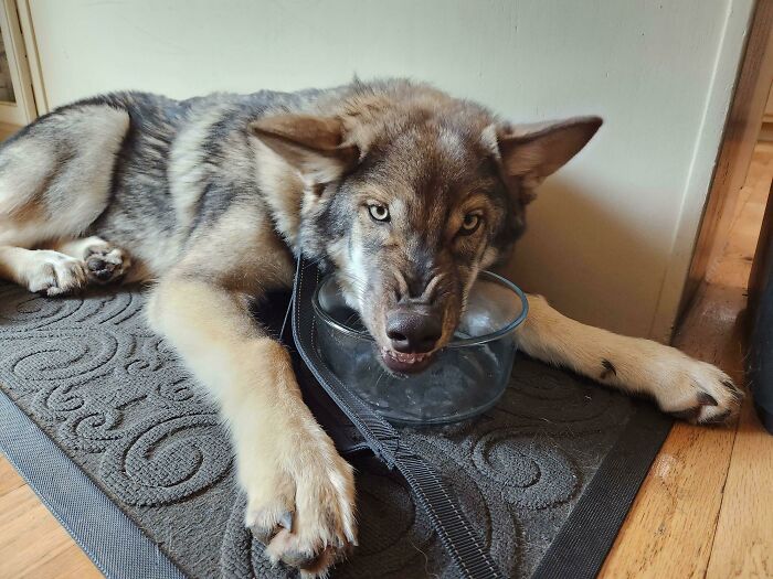 She Drinks Water... Differently